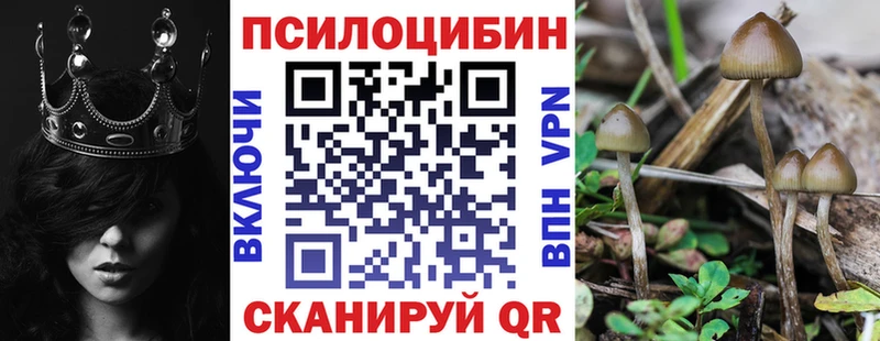 Галлюциногенные грибы мицелий  где найти наркотики  Магнитогорск 